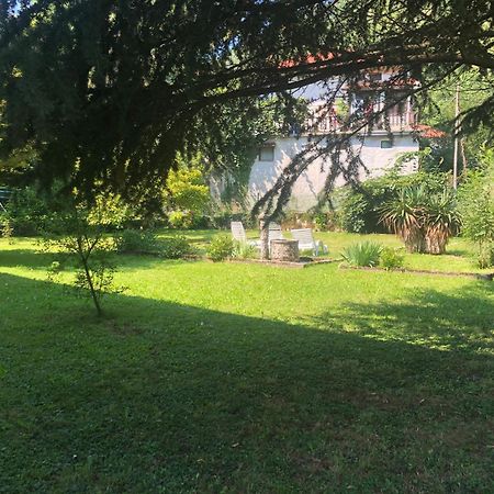 Vila Labod, Unique Villa At The Lake Мост-на-Сочі Екстер'єр фото